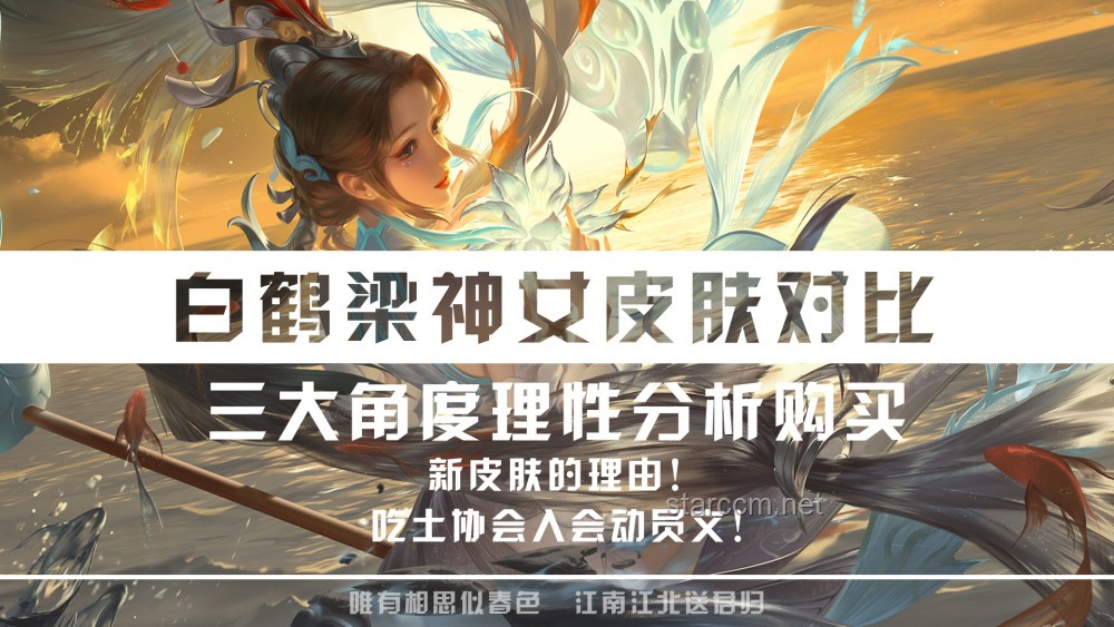 白月光与守护者：情感角色对比分析